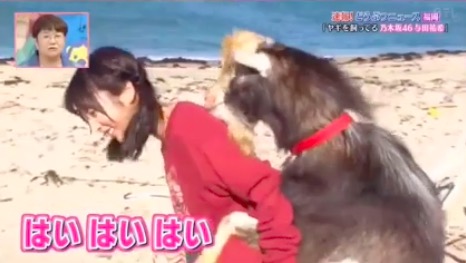 与田祐希 実家 浜幸家