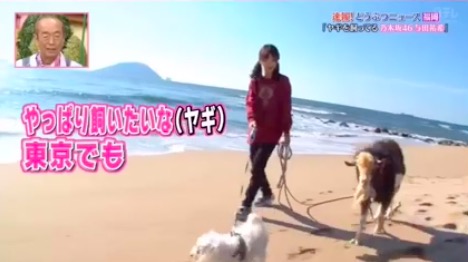 与田祐希 実家 浜幸家