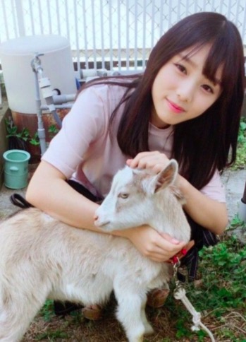 与田祐希 ヤギ