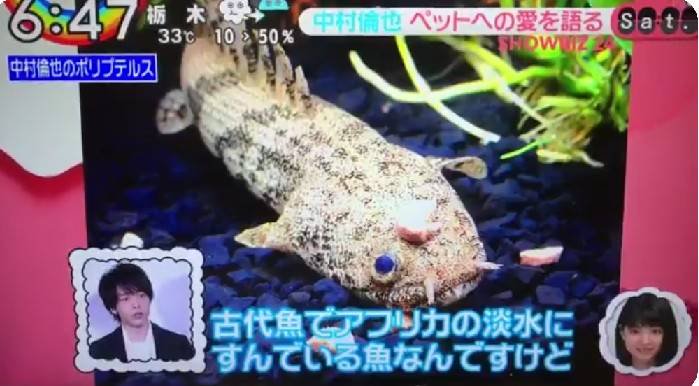 中村倫也 動物詳しい