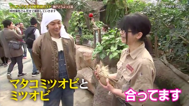 中村倫也 動物詳しい