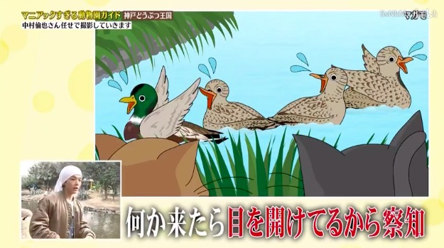 中村倫也 動物詳しい