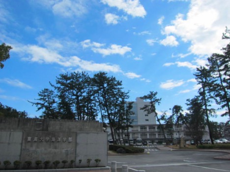 ミキ 亜生 大学