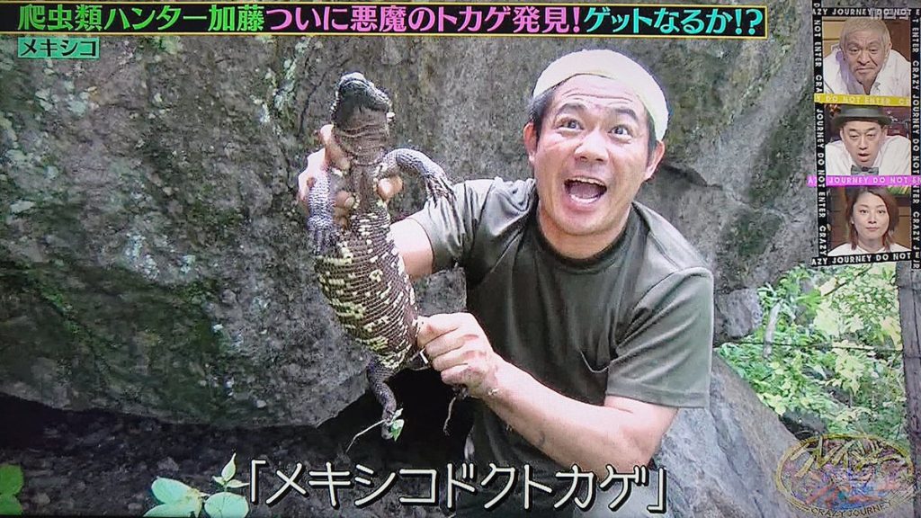 クレイジージャーニー やらせ まとめ